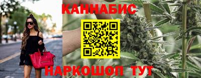 сатива Владимир